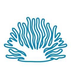 coral sea line icon set 