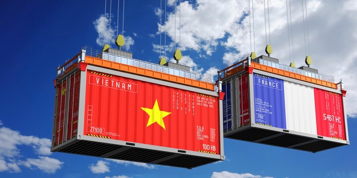 Shipping containers with flags of Vietnam and France - 3D illustration