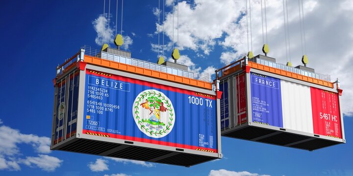 Shipping containers with flags of Belize and France - 3D illustration