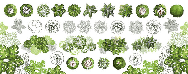 Tree for architectural floor plans. Entourage design. Various trees, bushes, and shrubs, top view for the landscape design plan. Vector illustration.