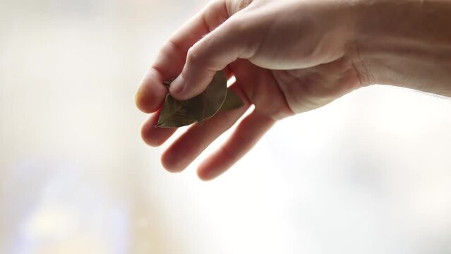 Chef adds bay leaf to dish seasoning it to perfection	