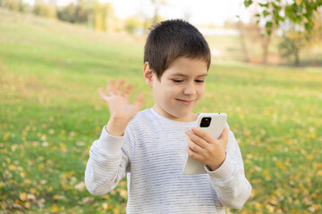 Little boy talking on video call with friends or family in park in autumn