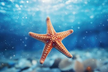 Obraz na płótnie Canvas red starfish