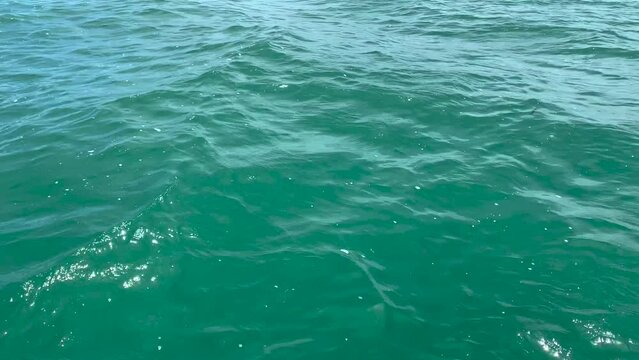 ocean seen from the top of a boat. blue and green sea seen from above with slow waves for backdrop