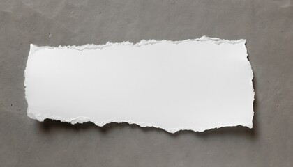 Blank Vintage white torn paper texture background