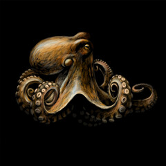 A color, graphic portrait of an octopus in watercolor style on a black background
