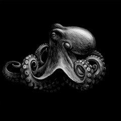 Monochrome, graphic portrait of an octopus on a black background.