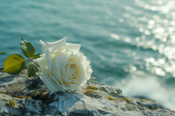 Single white rose on a rock on ocean background, outdoor funeral or wedding ceremony, tribute and scattering ashes in nature,condolences and sympathy card - 728661370