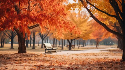 Beautiful yellow red and orange leaves in an autumn park on a br 