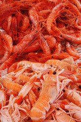 Shrimps at the local fish market Vucciria in Palermo, Italy	