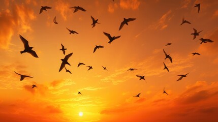 It is sunset and a flock of birds is flying across the orange sky, abstract photography, 