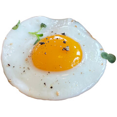 fried egg on a white plate