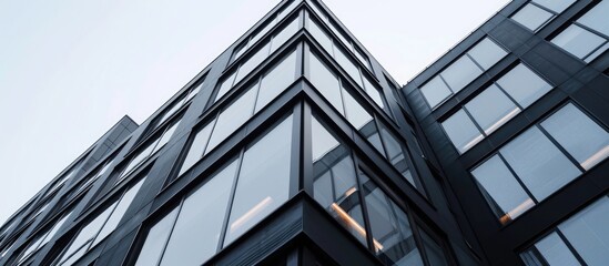 Obraz premium Building with black aluminum frame windows.