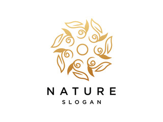 Fototapeta na wymiar logo design flower leaf template.