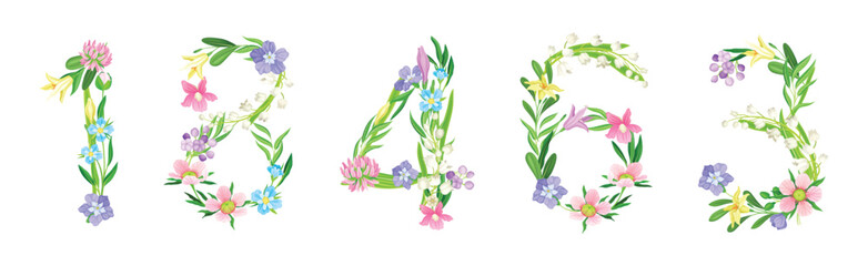Flower Number with Blooming Meadow Flora Vector Set