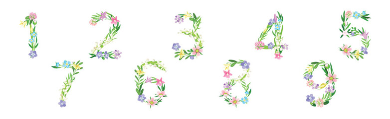 Flower Number with Blooming Meadow Flora Vector Set