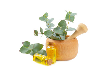 Eucalyptus leaves and mortar isolated on white background.Spa concept.Ingredients for alternative medicine and natural cosmetics. A bottle of essential oil and a bunch of eucalyptus. Organic skin care