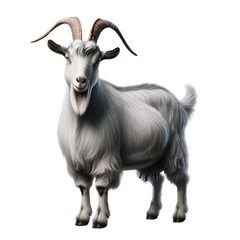 Goat - transparent background