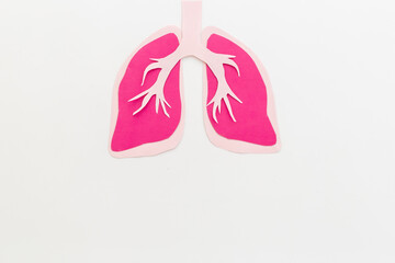 Human organ - lungs model made of paper, top view. Human health and medical concept
