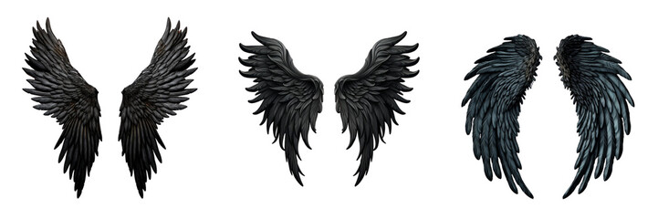 Set of black wings on a transparent background