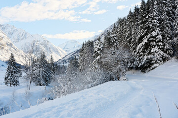 Fototapeta na wymiar Paysage enneigé avec arbres et montagnes à Champagny-le-Haut, Champagny-en-Vanoise, sous la neige, en Savoie dans les Alpes, France