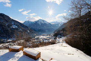 Fototapete bei efototapeten.de bestellen   