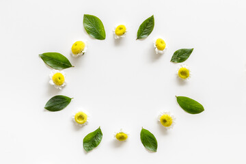 Floral pattern with white and yellow chamomile flowers, top view