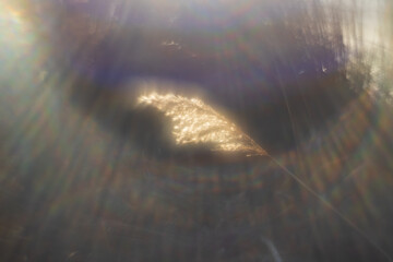 Abstract photo images of nature. Photo with an old manual lens with the lens turned.