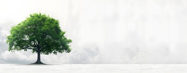 Single Large green leafy tree isolated on blank background, nature environment concept. illustration, fantasy. copy space. mockup. 