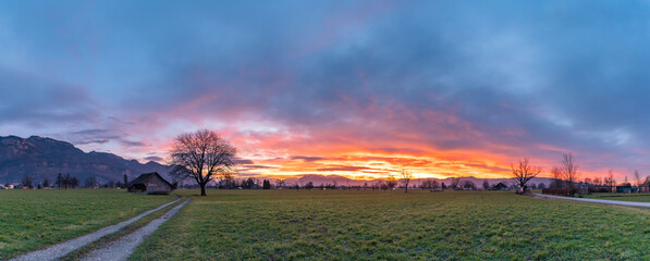 Panorama under afterglow with single tree and wooden barn on meadow in Rhein valley, with...