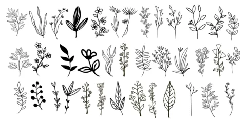 Fotobehang Line art floral elements. Outline foliage natural leaves herbs. Set hand-drawn flower botanical vector illustration. © MstAnjuman