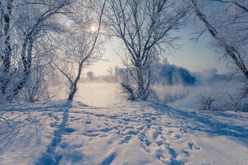 Beautiful snowy winter scene with bright morning sun through the tree branches over foggy river.