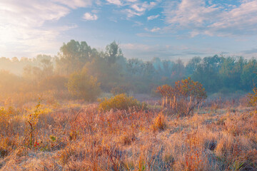 Dreamy sunrise on the high grass autumn meadow under the gorgeous sky with clouds. It is a tranquil morning scene.