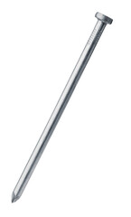 Single common steel nail