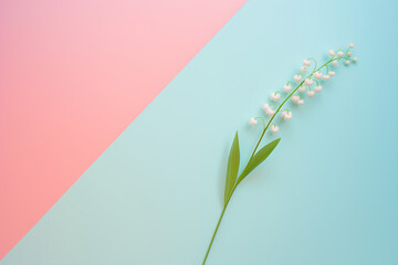 Lily of the Valley on Pastel Background, Minimalist Floral Composition