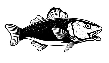 Cod fish logo design. Cod fish emblem. Fishing theme illustration. Fish Isolated on white.