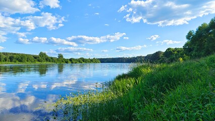 Tall grass grows on the river bank. In the water - aquatic vegetation. On the water - in some places light wave and reflection of trees and blue sky with clouds. A forest grows on the river bank Sunny
