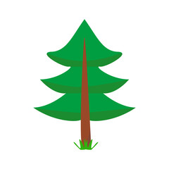 Fototapeta premium Forest pine tree, evergreen coniferous tree cedar, spruce tree cartoon icon. Ecological or outdoor camping vector illustration.