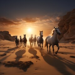 Fototapeta premium a horse herd on a sandy beach under the gentle light of the full moon.
