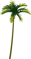 Palm tree exotic