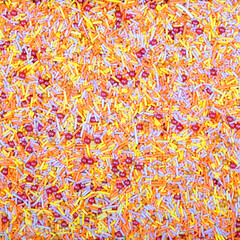 Fototapeta premium Colorful and bright cake decorations, in powder and granule form, can also be used as a colorful background.