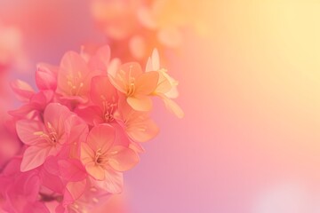 Naklejka na ściany i meble Sunset Hues: Warm Spring Flowers on Pink and Orange Gradient - spring concept