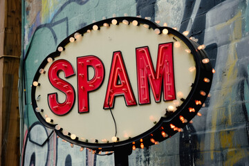 Web Developer's Nightmare: Unwanted SPAM Alert