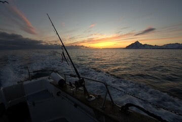 Lofoten fishing sundowner