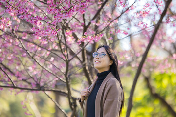 Woman look at the beautiful sakura tree