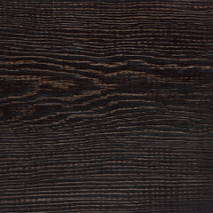 Natural wood pieces, colorful tree backgrounds, plain trees in different colors.