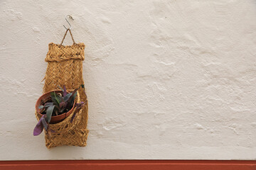 tiesto con una planta en soporte de esparto colgando de una pared blanca sevilla decoración 4M0A5594-as24