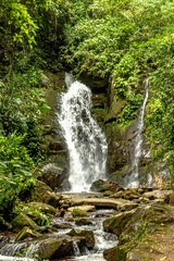 Waterfall running between rocks at the foot of the mountain

Waterfall running between the rocks at the foot of the mountain, creating a winding and refreshing path. The tumultuous water splashes in a