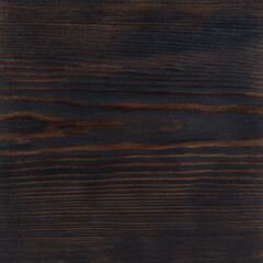 Natural wood pieces, colorful tree backgrounds, plain trees in different colors.