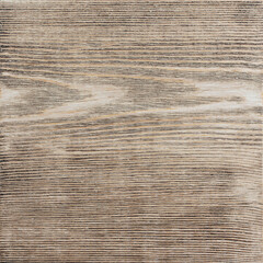 Fototapeta premium Natural wood pieces, colorful tree backgrounds, plain trees in different colors.